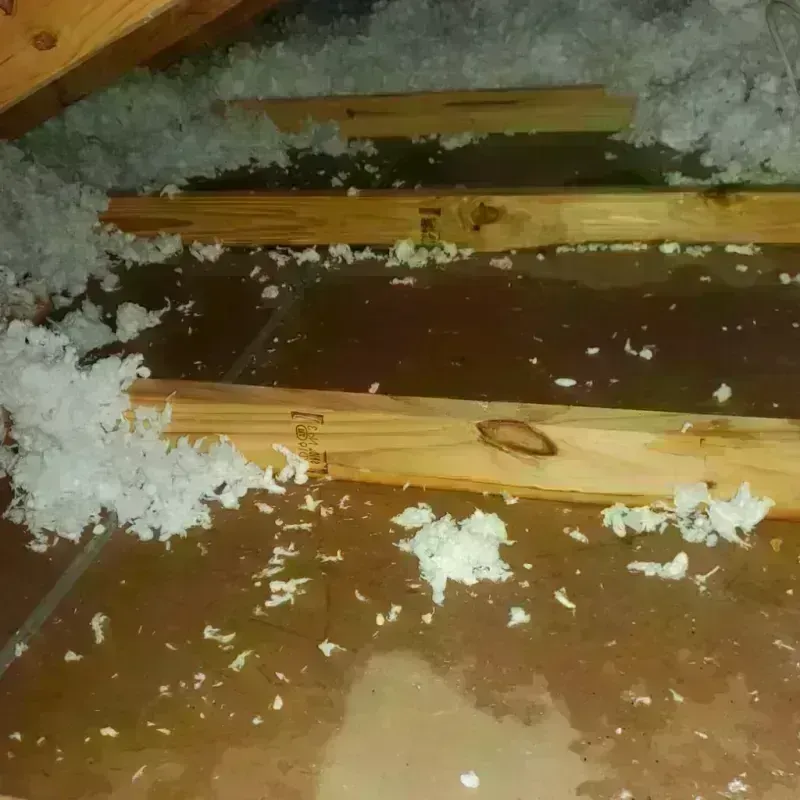 Attic Water Damage in Slinger, WI