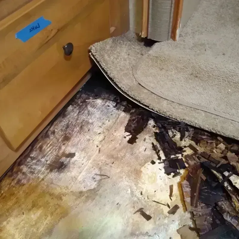 Wood Floor Water Damage in Slinger, WI